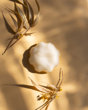 Wondr Conditioner Bar Melon