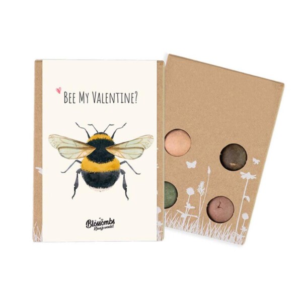 Blossombs Giftbox - Bee My Valentine